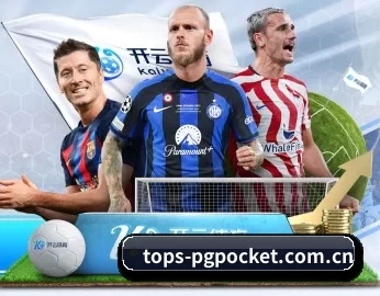 tops-pgpocket.com.cn APP 深度功能